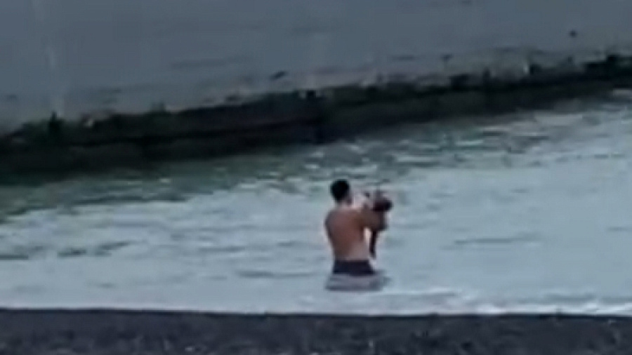 В Сочи полиция ищет мужчину, искупавшего в холодном море маленького ребенка 