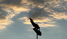 Геомагнитная обстановка 14–15 февраля: Солнце успокоилось, но воскресенье может преподнести сюрприз