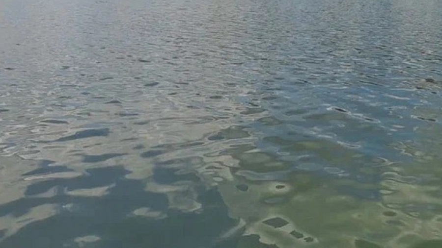 Площадь разлива нефти у Новороссийска оказалась в тысячу раз меньше, чем сообщали