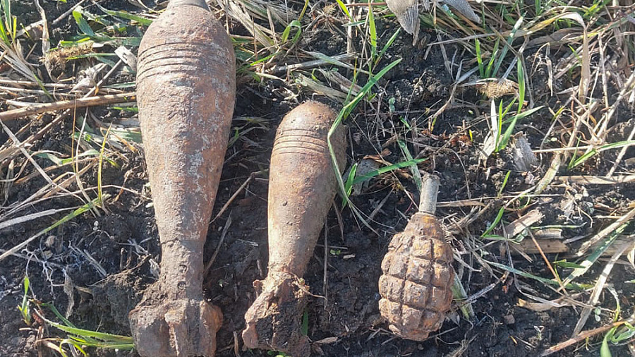 В Краснодарском крае на берегу пруда нашли боевые снаряды