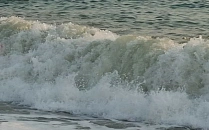 Сергей Галицкий удостоен ордена Дружбы от Владимира Путина за вклад в спорт