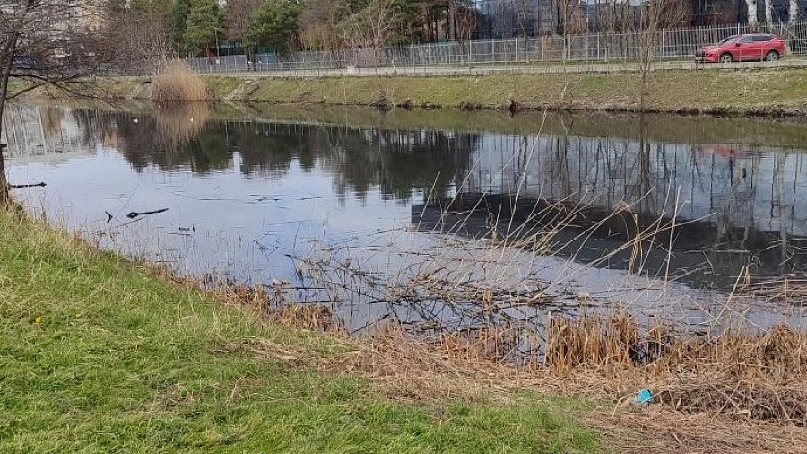 Жители Краснодара продолжают жаловаться на вонь из пруда на Восточно-Кругликовской