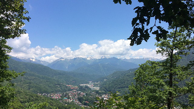 Обмотались листьями лопуха, чтобы не промокнуть: в Сочи туристки отправились в лес и попали под ливень