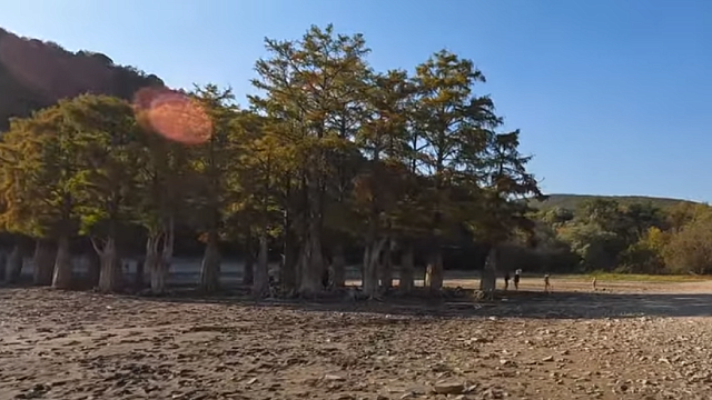 В Анапе туристы вытаптывают оголенные корни кипарисов на знаменитом озере Сукко