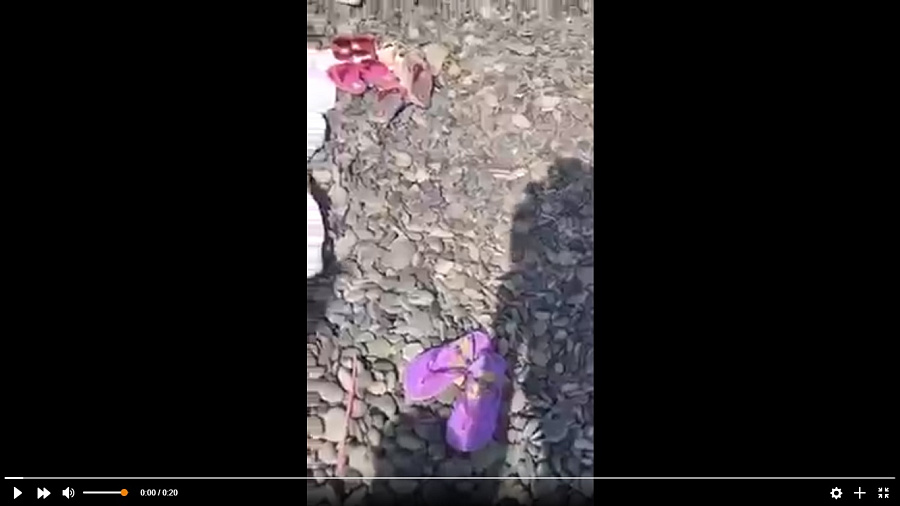 Очевидцы сняли на видео змею, устроившую переполох на пляже в Новороссийске 