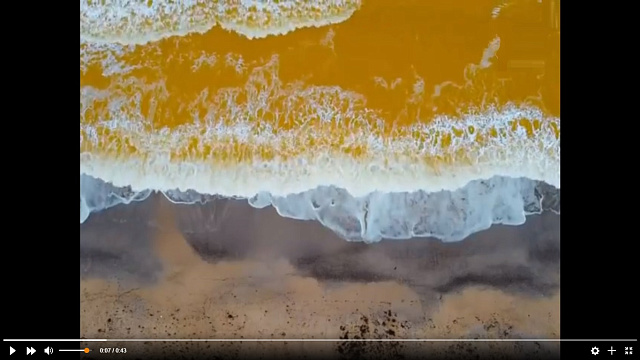 Море у берегов Крыма окрасилось в ярко-желтый цвет (Видео)