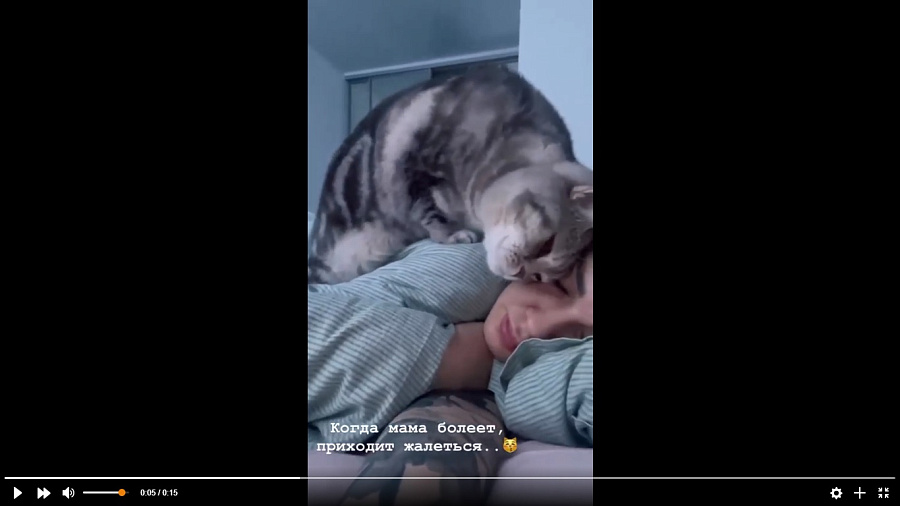 Кот, жалеющий заболевшую хозяйку, растрогал пользователей Сети 