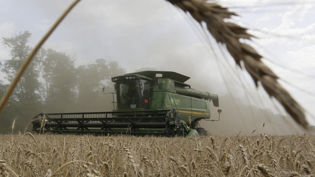 В Краснодарском крае с начала года в АПК инвестировали 9,5 миллиарда рублей