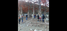 «Все выходные топтали корни деревьев»: в Анапе отдыхающие сломали забор на Кипарисовом озере