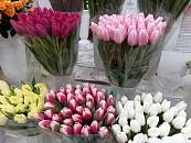 Первый рейс Nesma Airlines из Шарм-эль-Шейха торжественно встретили в Краснодаре