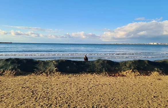 РСПП требует спасти турбизнес Анапы от банкротства после нефтяной катастрофы