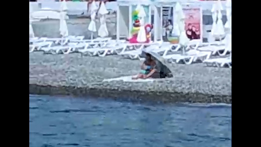 «Туристы жалуются»: в Сочи отдыхающая арендовала целый пляж для уединенного досуга