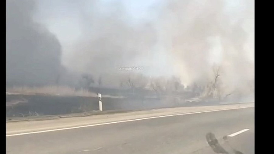 В Темрюке сняли на видео крупный пожар вдоль трассы