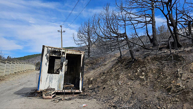 В Сети появились фотографии сгоревшей базы отдыха у Абрау-Дюрсо