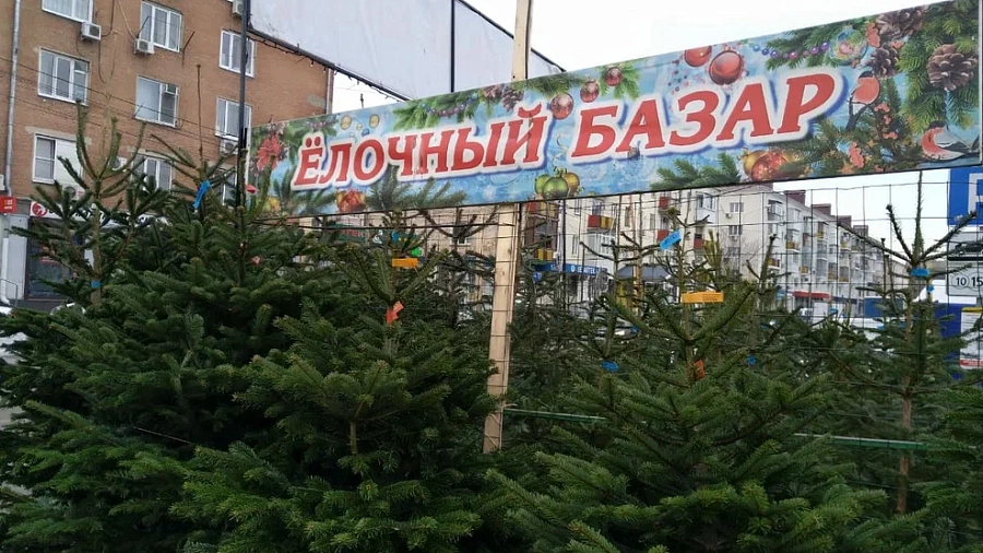 В Краснодаре изменились сроки открытия елочных базаров