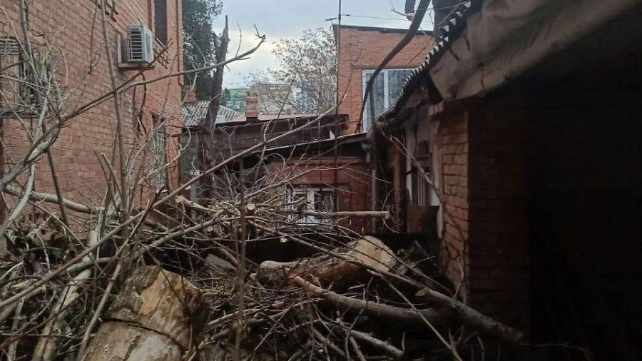 В Краснодаре многоквартирный дом остался без газа из-за упавшего дерева 