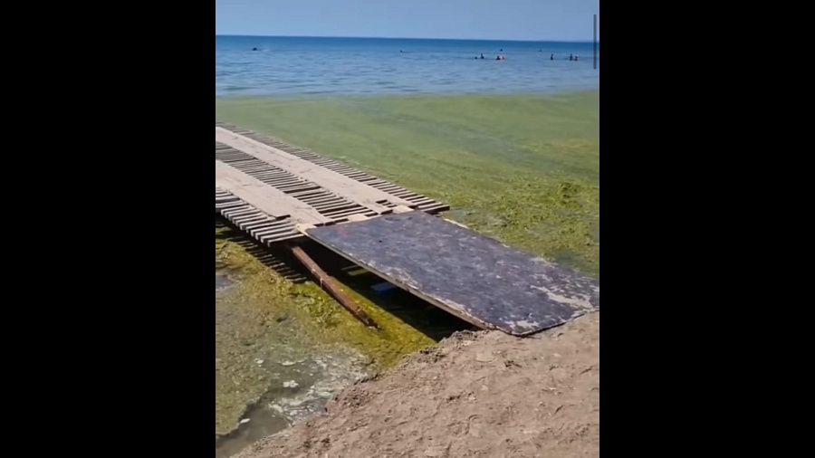 «Даже пирс провалился»: отдыхающих возмутил неочищенный от зеленой камки центральный пляж в Анапе