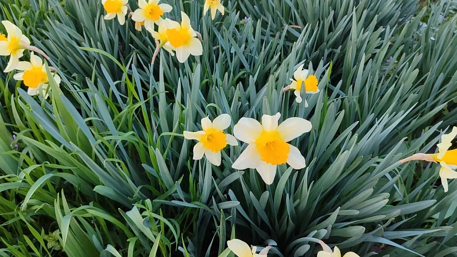 Циклон из Закавказья меняет погоду на Кубани 16-17 марта