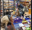 16 российских спутников «БЮРО 1440» запустили на орбиту