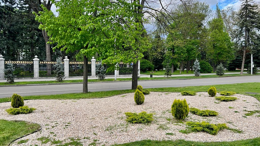 В Краснодаре и крае в начале недели сохранится неустойчивый характер погоды: дожди, грозы и порывистый ветер