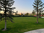 В Краснодаре и крае в субботу погода возьмёт курс на тепло до +17°С при ветре до 20 м/с