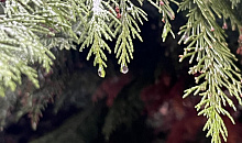 Снегопад отменяется?: В Краснодаре и крае в середине недели погода принесет сплошную облачность, туман и бесконечные осадки