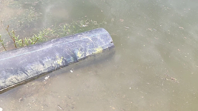 В Краснодаре зафиксировали превышение содержания опасных веществ в реке Кубань