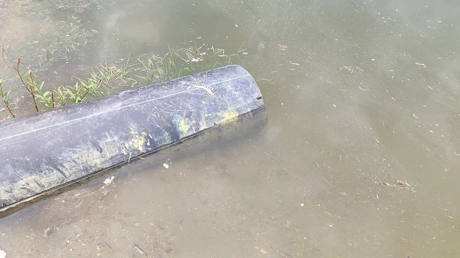 В Краснодаре зафиксировали превышение содержания опасных веществ в реке Кубань