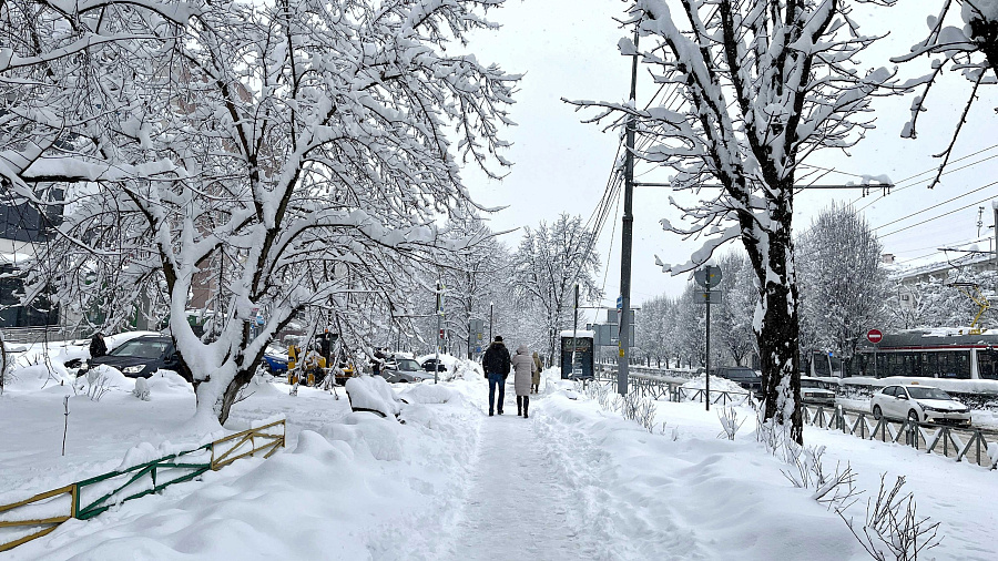 Метеорологи Кубани опровергли данные о рекордном уровне снега в Краснодаре