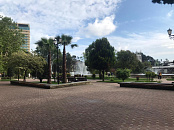 В Сочи, а также на курортах Кубани 16 февраля погода приготовила тёплый, но дождливый день с ветром до 16 м/с