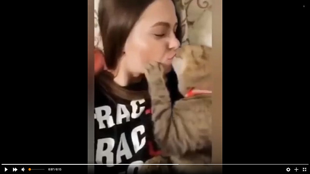 Кот, обожающий целоваться, покорил пользователей Сети