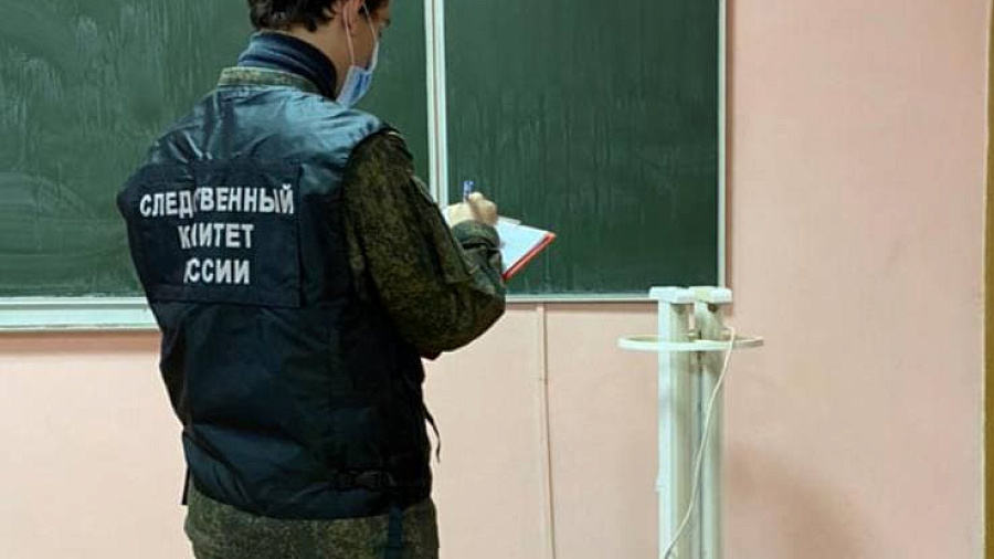 СК и Минобрнауки прокомментировали инцидент с получением детьми ожогов глаз от лампы в школе Крымска