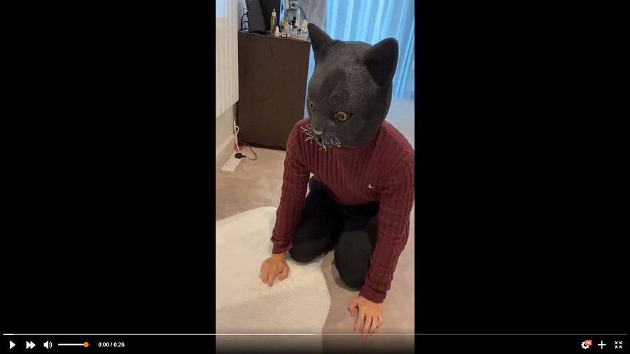 Хозяйка нарядилась в маску кота на Хэллоуин и перепугала своих питомцев