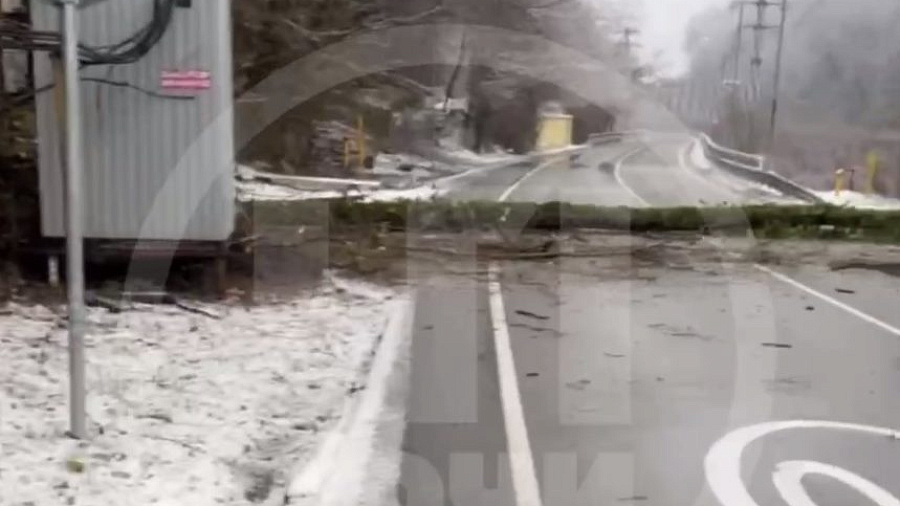 В Сочи упавшее из-за снегопада дерево перекрыло дорогу в Красную Поляну