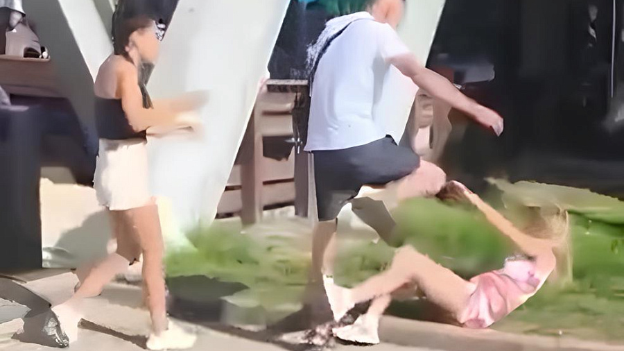 Драка туристов в очереди на канатку в горах Сочи попала на видео