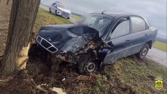 Водитель бросил умирать пассажира после удара Daewoo о дерево на Кубани