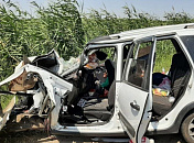 На Кубани водитель легковушки погиб в лобовом столкновении с грузовиком