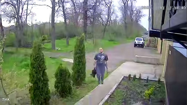 Полицейские ищут охотника, устроившего стрельбу по фазанам в Краснодаре
