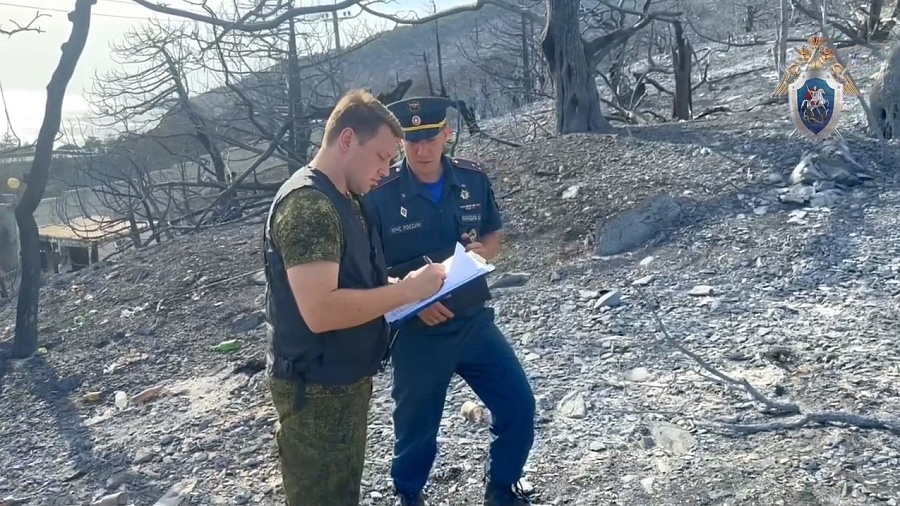 СК возбудил дело о халатности чиновников, повлекшей крупный пожар в районе Абрау-Дюрсо