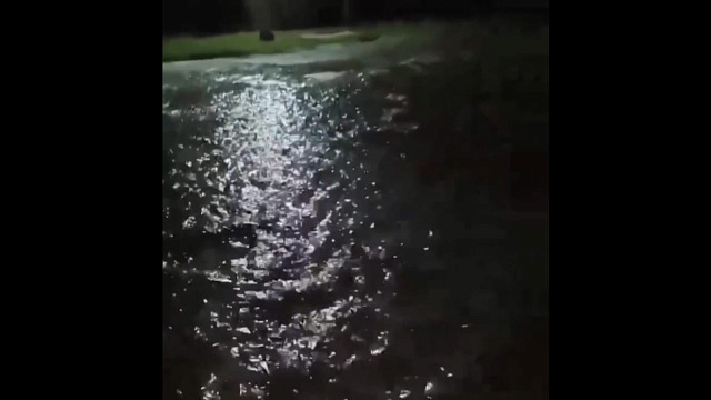 Жительница Темрюкского района пожаловалась на реки воды, текущие с полей. Видео