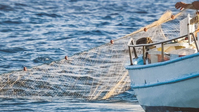На Кубани трое мужчин незаконно порыбачили на 4,5 млн рублей