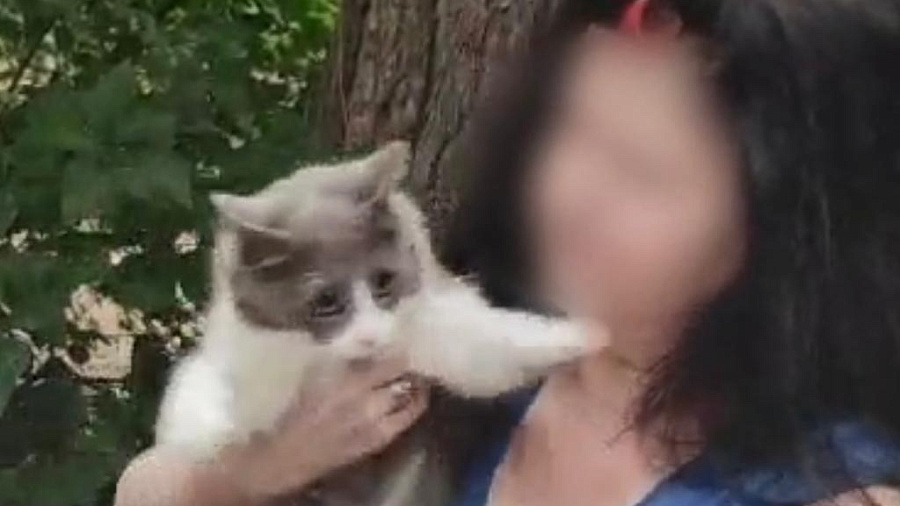 Кот в мешке: в Геленджике спасатели при помощи рюкзака спасли домашнего питомца, забравшегося на макушку сосны
