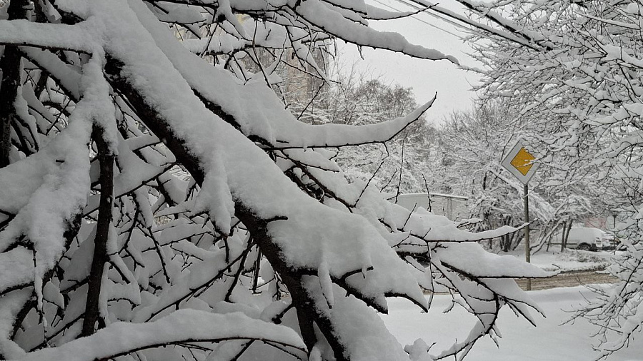 Новая волна снегопадов накроет Кубань с 15 января