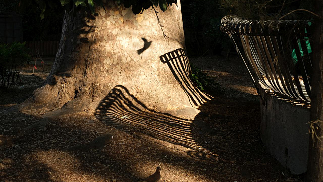 В Краснодаре пройдет итоговая выставка конкурса «Женщины-фотографы России»