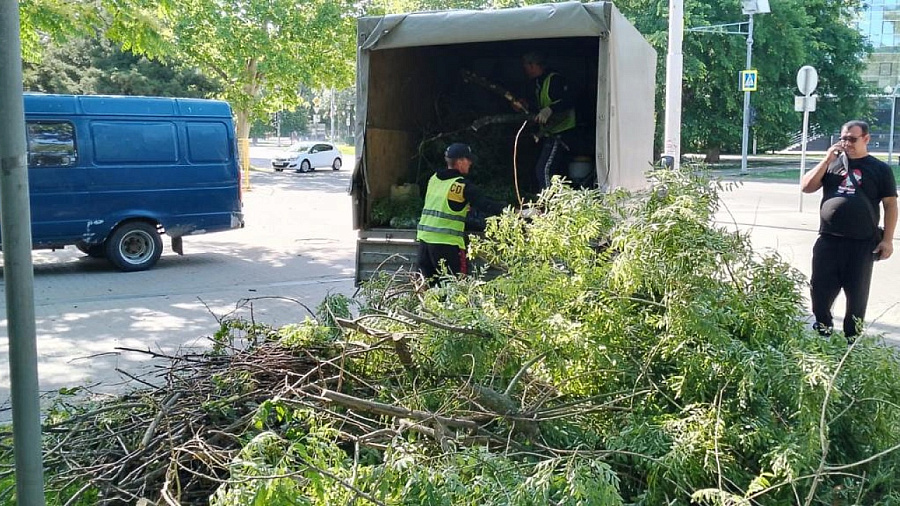 В Краснодаре после ураганного ветра пострадали свыше 260 деревьев 