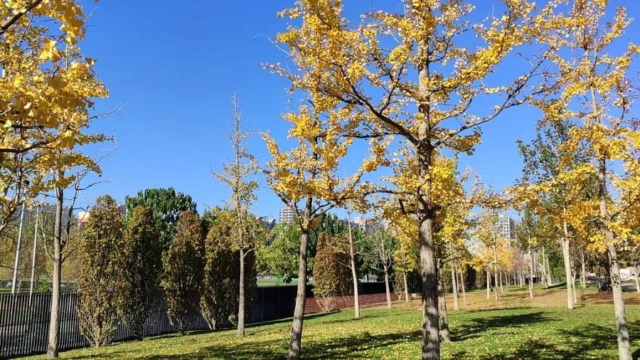 Кубань накроет волной аномального тепла