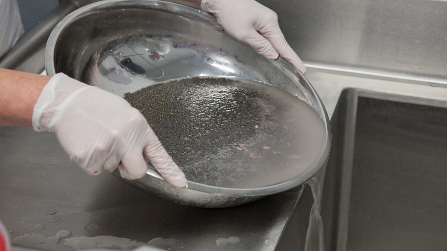 В Краснодарском крае мужчине грозит 4 года тюрьмы за продажу полкилограмма черной икры