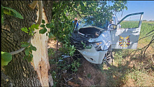 На Кубани пассажир внедорожника разбился после столкновения с деревом