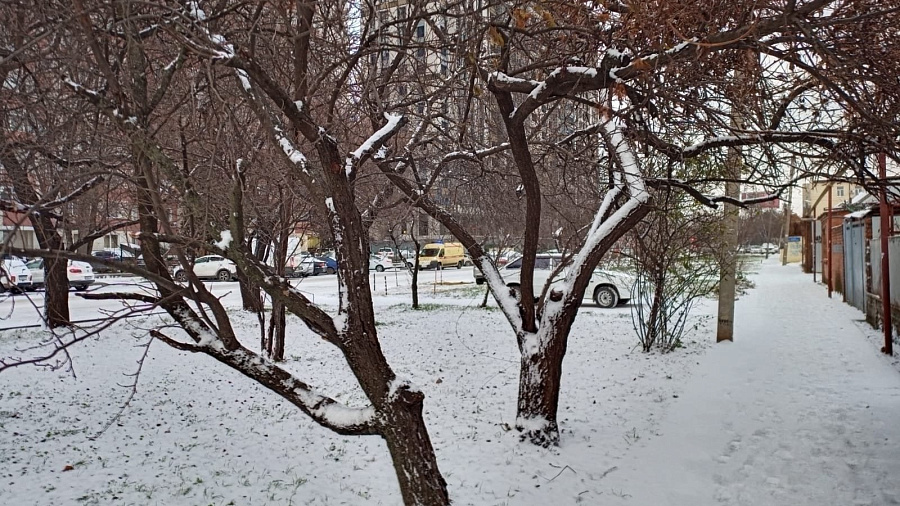 В 24 районах объявлен режим повышенной готовности: на Кубань обрушились неожиданно сильные январские снегопады  