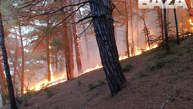 В Геленджике площадь пожара увеличилась 14 га